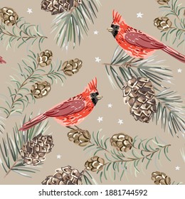 Christmas seamless pattern, red cardinal birds, fir, pine twigs, cedar cones, stars, beige background. Vector illustration. Nature design. Season greeting. Winter Xmas holidays