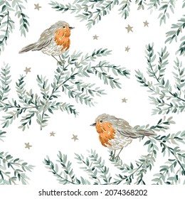 Christmas seamless pattern, robin birds, green twigs, stars, white background. Vector illustration. Nature design. Season greeting. Winter Xmas holidays