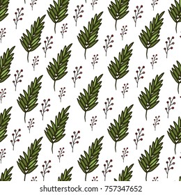  Christmas seamless pattern with spruce branches and berries