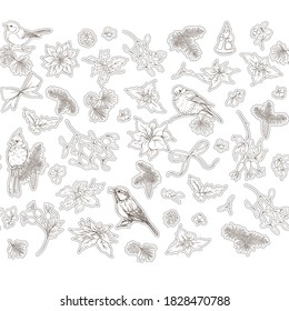 Christmas seamless pattern with spruce, pine, poinsettia and winter birds: robin, cardinal, tit. Graphic drawing, engraving style. Vector illustration