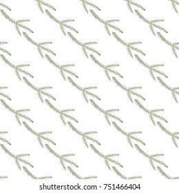Christmas seamless pattern with spruce twig. Beautiful vector background for decoration xmas designs. Cute minimalistic art elements on white backdrop.