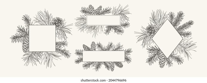 Christmas set botanical frames. Vector template with fir and pine branches and cones. Winter logo isolated on white background. Engraving style. Black and White. 