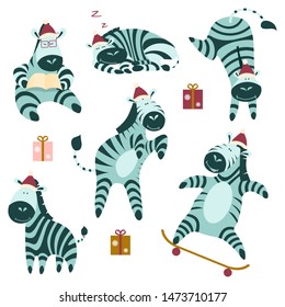 Christmas set of cute zebras. Cartoon african animals isolated on white background. Flat vector illustration.