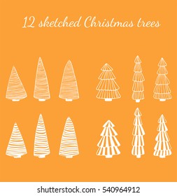 Christmas set.  Different fir trees hand drawn isolated on white background. 