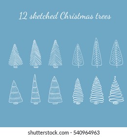 Christmas set.  Different fir trees hand drawn isolated on white background. 