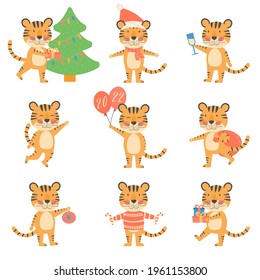Christmas set with different tiger's with christmas tree, present, balloons, candy, champagne, symbol of 2022 year. New year mascot. Cute vetor flat animal character, isolated on a white background