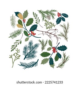 christmas set with fir branches, holly and other plants. Vector design for paper, fabric and other surface.