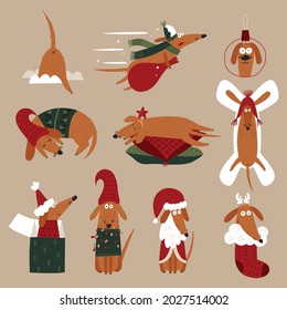 Christmas set with funny dachshund. Vector illustration. 