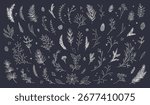 Christmas set of hand drawn floral decorations. Winter fir branches, plants, berries, flowers, cones, coniferous greenery, mistletoe, poinsettia, snowflakes. Vector line art illustration