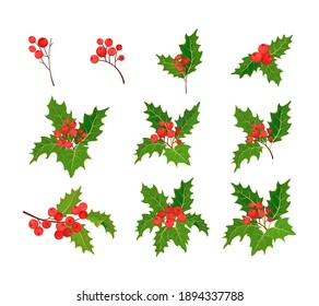 Christmas set of illustrations of holly branches.Sprigs of holly with red berries and green leaves. Set of mistletoe.Christmas decorations.Design elements of holiday decoration, greeting cards.Vector
