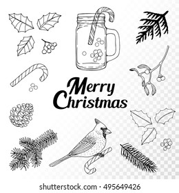 Christmas set. Mason Jar, Pine branches, Holly, Pine cone, Christmas Candy, Mistletoe, Cardinal bird. 
