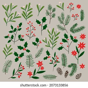 Christmas set of plants with flowers, holly, spruce branches, leaves and berries. Christmas trees. Modern doodle collection in green colors. Hand drawn design elements.