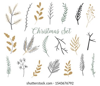 Christmas set of plants with flowers, spruce branches, leaves. Set of fir branches. Christmas tree, pine, winter. Perfect for invitations, greeting cards, posters, prints