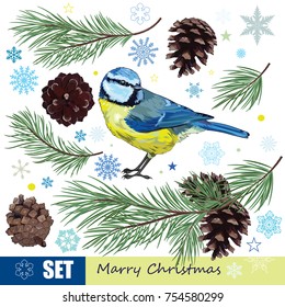 Christmas set. Titmouse, pine branch with cones and the snowflakes, isolated on white, vector illustration