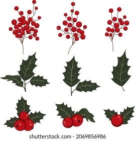 Christmas set of vector illustrations of holly branches. Holly sprigs with red berries and green leaves. Christmas decorations on a white background.