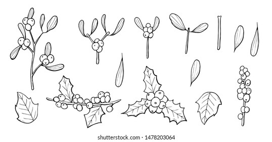 christmas set vector that consists of mistletoe and holly. Construct your own christmas wreath.