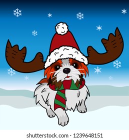 Christmas shih tzu.Dog christmas.