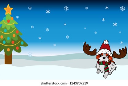 Christmas Shih Tzu. Dog christmas have tree snow background.