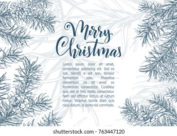 Christmas sketch hand drawn illustration with pine tree branches and cones.Vector eps10 illustration for your design.