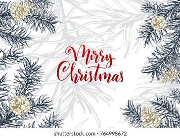 Christmas sketch hand drawn illustration with pine tree branches and cones.Vector eps10 illustration for your design.