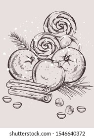 Christmas snacks composition with cinnamon sticks, orange fruits, fir tree leaves, lollipops, coffee beans. Outline sketch style vector
