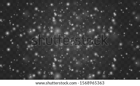 Christmas snow. Falling snowflakes on transparent background.  Holiday Winter for Merry Christmas and Happy New Year. Xmas snow flake pattern. Magic white snowfall texture. Winter snowstorm. 