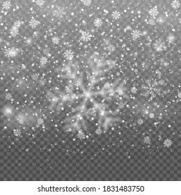 Nieve de Navidad. Nevada vectorial pesada, copos de nieve de varias formas y formas. Fondo nevado. Los copos de nieve blancos vuelan en el aire. La nieve blanca vuela sobre un fondo transparente.