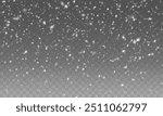 Christmas snowflakes on a transparent background. Snow flakes, snow background. Heavy snowfall, snowflakes in different shapes and forms.