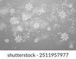 Christmas snowflakes on a transparent background. Snow flakes, snow background. Heavy snowfall, snowflakes in different shapes and forms.