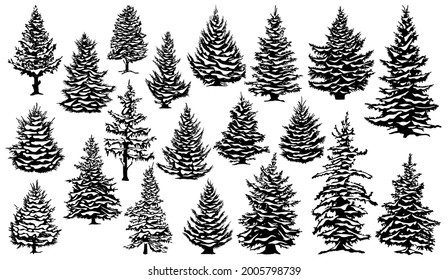 Christmas snowy pine trees
