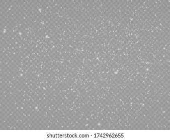Christmas sparkl light effect, sparkling magic dust particles bokeh isolated on transparent background, the white dust sparks and star shine with special light, shine lights, sparkle, vector.
