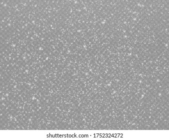 Christmas sparkl light effect, sparkling magic dust particles bokeh isolated on transparent background, the white dust sparks and star shine with special light, shine lights, sparkle, vector.