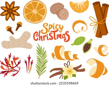 Conjunto de temperos de Natal. Ingredientes para o vinho ruminado e pratos de Natal. Especiarias e condimentos. Canela, raspa de laranja, fatia de tangerina, cardamomo, noz-moscada e outras especiarias. Fundo branco.