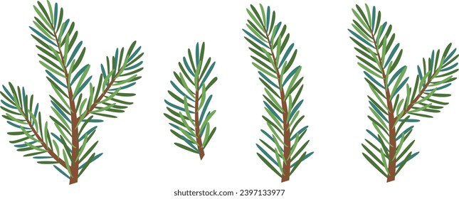 Christmas spruce branch, evergreen tree, fir, vector icon, winter plants, New Year wood, holiday decoration. Hand drawn illustration.