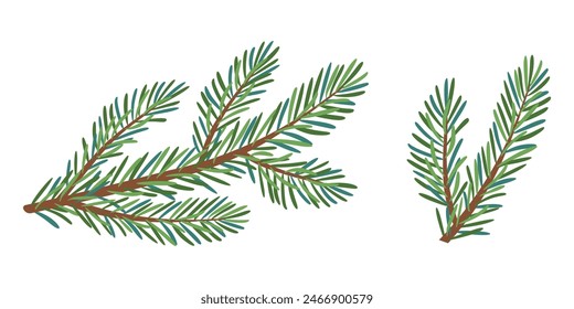 Christmas spruce branch set. Larch, Pine, spruce branch, evergreen tree, fir, vector icon, winter plants, New Year wood, holiday decoration. Hand drawn illustration.