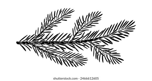 Christmas spruce branch silhouette. Larch, Pine, spruce branch, evergreen tree, fir, vector icon, winter plants, New Year wood, holiday decoration. Hand drawn black and white illustration.