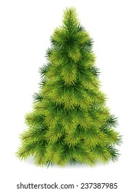 Christmas spruce vector illustration, isolated
