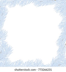 Christmas square frame of light blue fir branches. Background for the holiday and congratulations