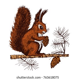 Christmas squirrel and animal with fir-cone in the forest. winter holidays. engraved hand drawn in old sketch and vintage style for postcards. New Year symbol.