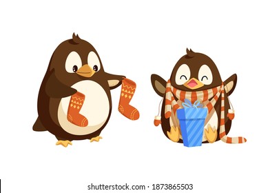 Christmas standing penguin holding socks with pattern. Sitting cheerful animal with hands up in stripes scarf and mittens near blue gift box vector isolated