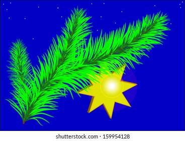 Christmas star