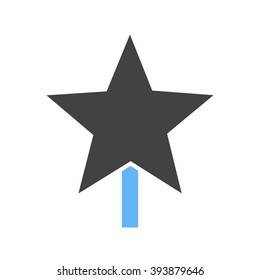 Christmas Star