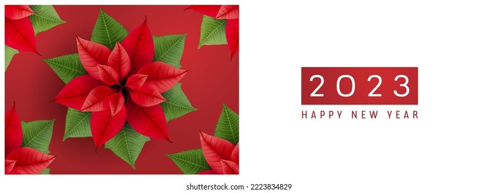 Christmas star flower vector illustration. Background or  card with New Year holiday decoration. Greeting season scene