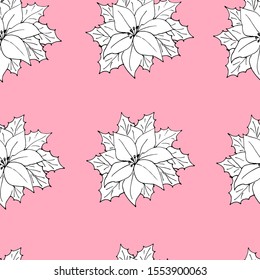 Christmas star poinsetia flower. Vector illustration of a seamless background. Soft pink color.