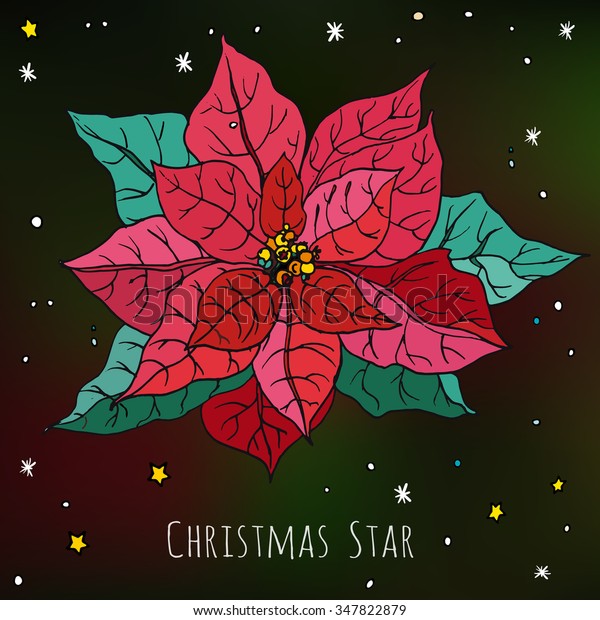 Christmas Star Red Flower Green Leaves Stock Vector Royalty Free