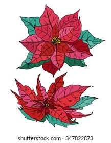 Christmas Star. Red flowers with green leaves isolated on white background. Hand drawn watercolor botanical illustration for Merry Christmas greeting cards, gifts, printings