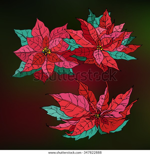 Christmas Star Red Flowers Green Leaves Stock Vector Royalty Free