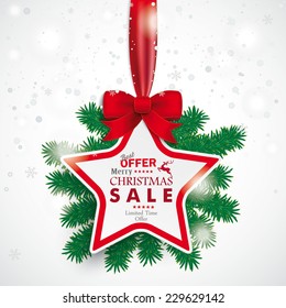 Christmas star with snowflakes on the white background. Eps 10 vector file.