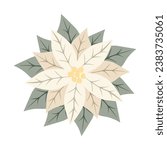Christmas star white flower poinsettia. Symbol of the winter holidays. Perfect for Christmas or New Year greeting card design. Vector illustration