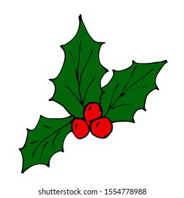 Christmas stars, poinsettia flower with red berries. Vector illustration. White color background